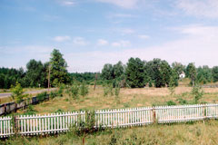 2002 .